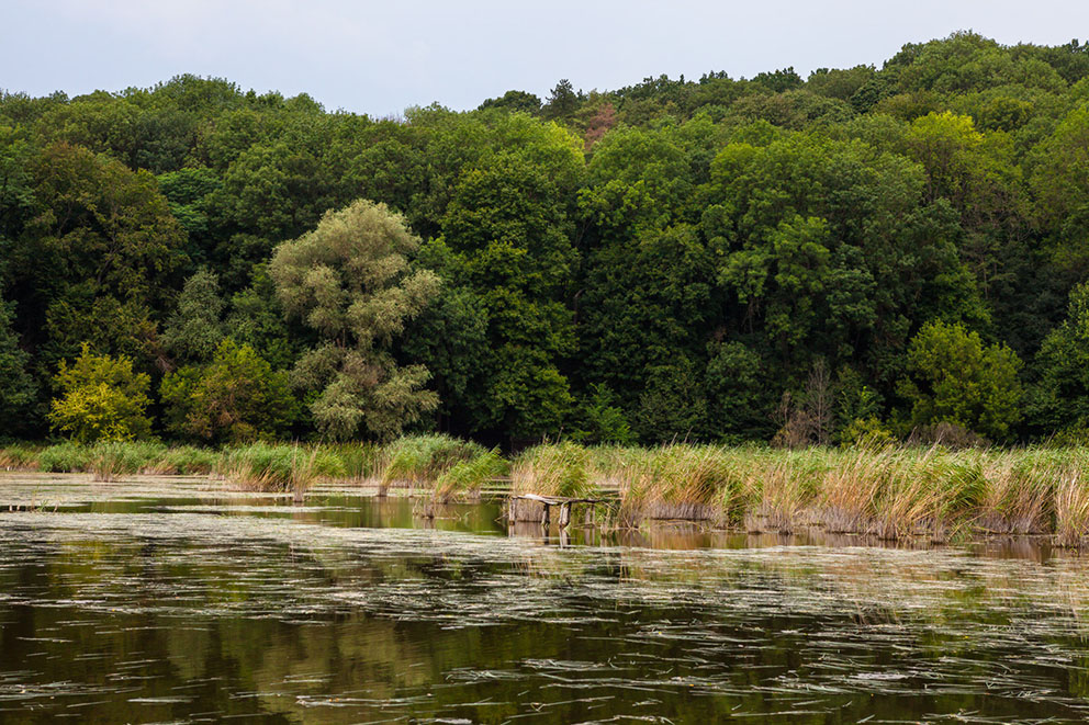 Грабарківський заказник